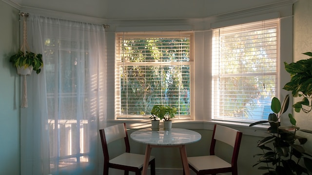 different sash windows with blinds